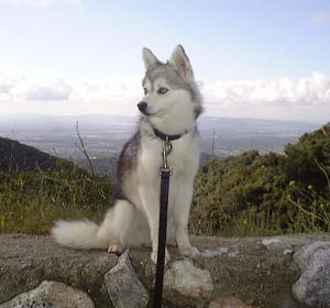 alaskankleekai fletcher
