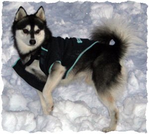 alaskankleekai parks