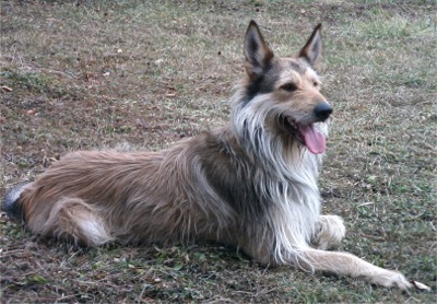 bergerpicard alinageishofer