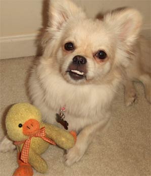 peekapom stone