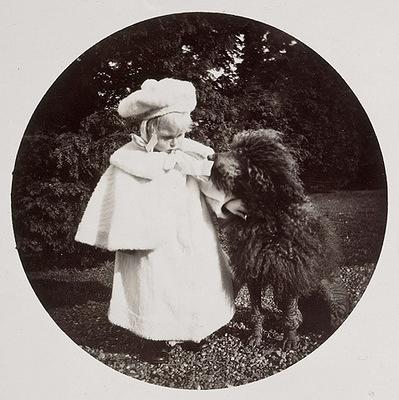 David (King Edward VIII) & family poodle