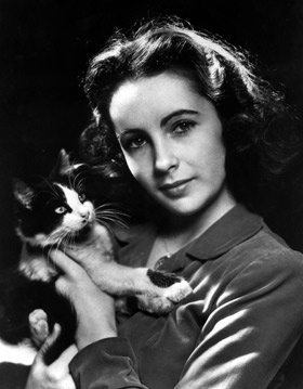 Elizabeth Taylor cat