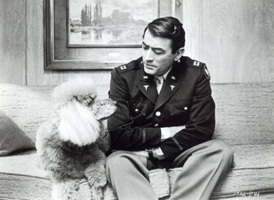 Gregory Peck and his poodle