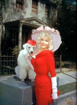Jayne Mansfield & poodle
