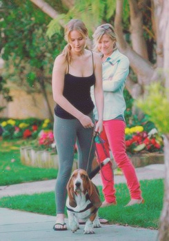 Jennifer Lawrence has a Basset Hound!