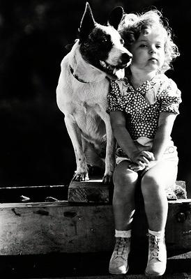 Shirley Temple with her dog Buster, 1933