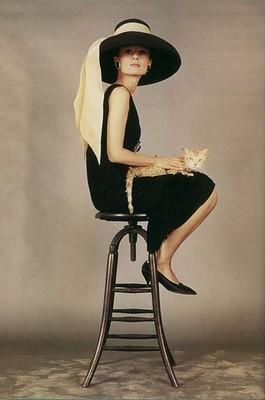 audrey hepburn-cat