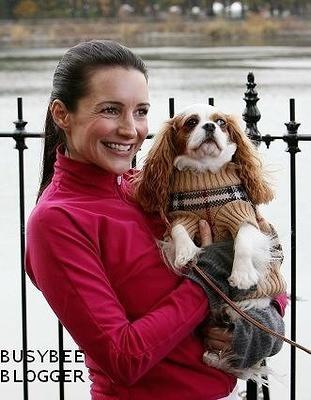 cavalier king charlges