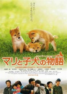 A Tale of Mari and Three Puppies