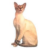siam lynxpoint