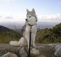 alaskankleekai fletcher