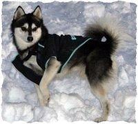 alaskankleekai parks