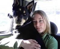 australiankelpies