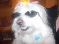 cotondetulear green2