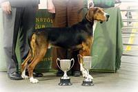 hamiltonstovare jones