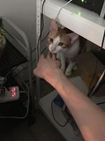 IMG 1221