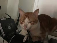 IMG 1432