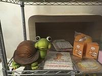 IMG 1566