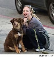 Amanda Seyfried and her Aussie