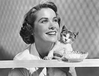 Grace Kelly-cat