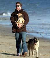 Jake Gyllenhaal & German Shepherd, Attricus