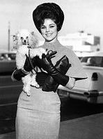 Priscilla Presley