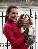 cavalier king charlges