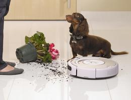 Best brand of robot vacuum cleaner iRobot Roomba Pet 532 3 200910291651393 Best brand of robot vacuum cleaner