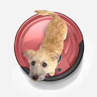 Bobsweep Robot Vacuum Cleaner Dog  Why Buy A Robotic Vacuum Cleaner?