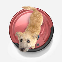 Why Buy A Robotic Vacuum Cleaner? Bobsweep Robot Vacuum Cleaner Dog Why Buy A Robotic Vacuum Cleaner?