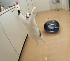 What is a robot vacuum cleaner? 10177 What is a robot vacuum cleaner?